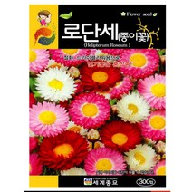 로단세 씨앗 꽃씨종자(300립) MK263