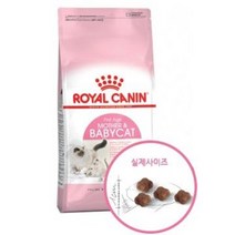 로얄캐닌 마더&베이비캣 2kg