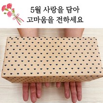 당일발송 가정의 달 감사선물 하루 한봉지 견과 믹스너츠 데일리너츠 기프트 세트 (20gX20개입), 2박스