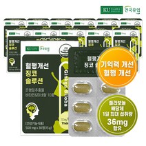 건국유업 [건국유업] 혈행개선 징코 솔루션 30정x12개(12개월)