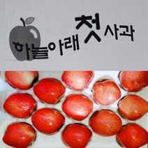 하늘아래첫사과 가정용 5kg(부사)상품, 가정용 5kg(상품)12~13과, 05.가정용 5kg(부사)소과