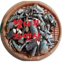 벌나무가지500g( 국내산) 자연산 벌나무껍질(국내산) 헛개나무 간에도움는 식품, 1형(벌나무가지500g