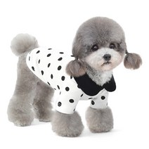준성 땡땡이 강아지 옷 티셔츠 소형견 가을 겨울 고양이 애견 반려견 의류 실내복, 블랙