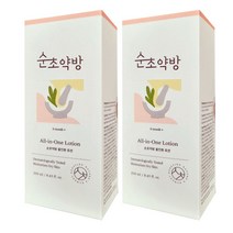 순초약방 올인원 로션 250ml, 2개