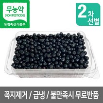 아로니아 생과 급냉, 10kg, 아로니아급냉(꼭지제거)