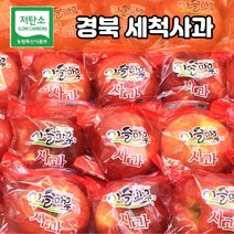 경북 의성 껍질째 먹는 세척사과 당도선별 사과, 세척사과_중소과 5kg (20-25입 내외)