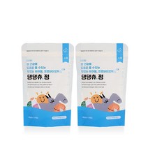 핏펫 베터 댕댕츄 정 반려견 프로바이오틱스 12p, 프로바이오틱스 (산양유), 8개