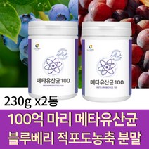 19종 혼합 100억 메타 유산균 배양분말 낙산균 블루베리 적포도 농축 퍼플푸드 분말 가루 프리바이오틱스 필수아미노산 미네랄비타믹스, 2통