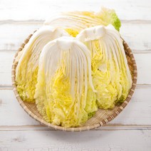 (예약중)유기농 절임배추/20kg