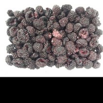 복분자냉동 450g, 1개, 단품