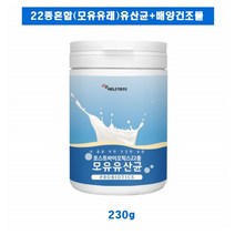 포스트 바이오틱스 모유 유래 유산균 230g 프롤린 배양건조물 비타민C 가세리 루테리 플란타룸 추천, 1개