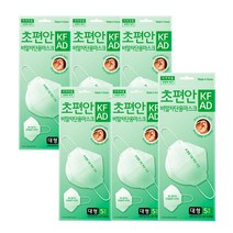 초편안 비말차단 마스크 대형 5매입 X 6개 (총 30매), 비말차단 마스크 대형 5매 6개 (