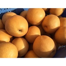 제이에스엔 산지직송 달달한 맛있는 남양주 먹골배 신고배 배즙 배농장 7.5Kg 15Kg, 정품 가정용 대과 먹골배 7.5kg, 8과