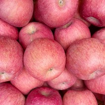 경북 껍질채먹는 꿀사과 가정용 못난이 흠집 사과 소과 중과 3kg 5kg 10k, 가정용소과 5kg(25~28과)