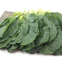 [특급] 싱싱한 쌈 케일 500g 1kg, 쌈케일500g, 1개