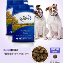 대형견 생후 3개월 첫사료 미국 브랜드 사료 코기