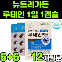 뉴트리가든 루테린 LUTEIN 뉴테인 직장인 청소년 50대 60대 부모님 비타민 A E 베타카로틴 눈 안구 건강 노안 노화 흐림 침침 영양제 추천 아연 마리골드 꽃 추출물 캡슐, 12박스(12개월분)