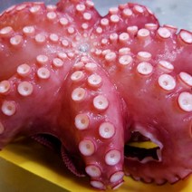 [명절선물세트] 제수용 자숙문어 한마리 1kg 1.5kg 2kg 제사용 냉동 문어 돌문어 삶은 데친 문어숙회 지티마트, 1개, 1-2. 제수용 자숙문어 1.5kg