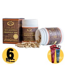 [사은품제공]호주 네이쳐스탑 유칼립투스 프로폴리스 3000mg 180캡슐 PROPOLIS 플로폴리스 면역력 캡슐 알지알지몰 RZ, 상품수량, 6개