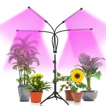 비상 식물등 성장등 생장등 재배등 쑥쑥이 다육이 난초 LED조명, 4헤드 삼각대(보라색) 충전기
