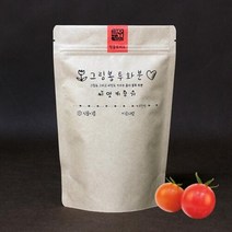 아트박스/틔움세상 직접 꾸미는 그림봉투화분_방울토마토, 본품