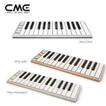 CME XKEY-25, 실버