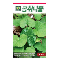 다농 곰취나물 씨앗 100립, 15개