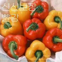[더조은] 파프리카 빨강 못난이 파프리카 1kg 2kg 3kg 5kg, 빨강 1kg