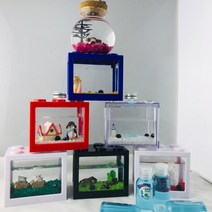 마리모세트 피규어구성 led마리모 마리모밥증정, 옵션12