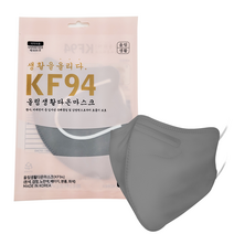 비엠세상편한마스크(구 다온마스크) KF94 새부리형 입체마스크 1매 그레이색 대형, 50매 2통