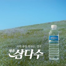 제주 삼다수 500mlx20개, 1개