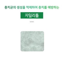 [아로마케이] 자일리톨 분말 비누 화장품 치약 만들기 재료 기능성원료, 20g