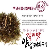 천종산삼 배양근효소 갈비맛양념돼지구이1.5kg/천종산삼/배양근효소/효소/갈비/갈비맛/양념/양념돼지구이/돼지구이/갈비돼지구이/돼지구이양념, 천종산삼 배양근효소 갈비맛양념돼지구이(1.5kg)