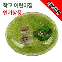 [천삼백케이] [미미네아쿠아] 둥실둥실 뜨는 개구리밥 수생식물 키우기 관찰 세트, 단품
