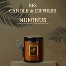 BES 누미너스 수제 캔들 강아지 고양이 냄새 제거 포함 46가지 자연향 향초, 100ml, 캔들용(심지O), Minuit Lavender