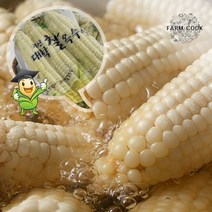 [KT알파쇼핑][팜쿡]괴산 삶은 대학찰옥수수 냉동 21개(팩당3개)