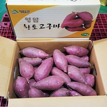 고구마영암명품 황종복 연지 꿀고구마 5/10kg 품질엄선, 영암명품 꿀고구마10kg(쫄/한입)