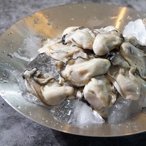 통영생굴 알굴 깐굴 생굴 1kg 산지직송 당일조업