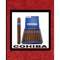 COHIBA Cigars One of the Top Well Liked Cigar Brands 1966 Vintage Antique Notebook 8 x 10 inches 140