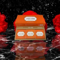 보고바이오 천삼정 산삼비누 100g x 3개