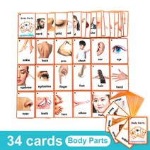 영어 카드 파닉스 단어 학습 카드 영어낱말 플래시 카드, Body Parts 34Cards