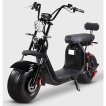 3륜 와이드 타이어 전기 자전거 할리 왕발 오토바이, R11 3륜 20A 리튬 배터리 60V