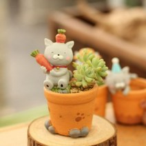 ROOGO 루고 다육이 미니화분 러블리캣 당근냥이 (다육식물 불포함)