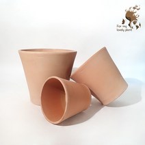 [데로마 Deroma] 테라코타 이태리토분 인테리어화분 바소 코노 듀오(26cm), 26cm:white