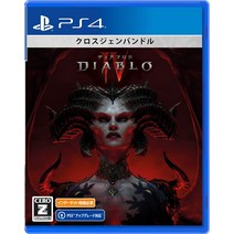 [PS4]Diablo 4(디아블로 4)