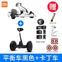 Xiaomi 균형 스쿠터 9 호 이륜 2 륜 성인 전기 스마트 체성 감각 스쿠터 9 호, 블랙 9호 밸런스 카 Modified kart k