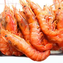 랍스터 킹 단 새우 2kg 30-35미 자연산 대왕 큰 새우 홍새우 소금구이 새우튀김