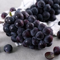 국내산 거봉 500g-2kg 씨없는 영동 포도 당도보장(특), 2kg(특)4-5수