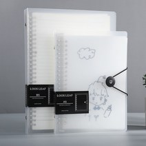 단추 반투명 다이어리 커버 A5 B5 A4 20공 26공 30공, 26공 B5 블랙