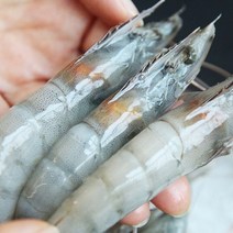 국내산 청학수산 신안 흰다리 새우 1kg 캠핑 제철 구이용, 우리홈마트 1, 우리홈마트 본상품선택